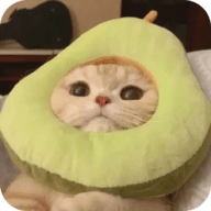 B站9.1免费APP应用